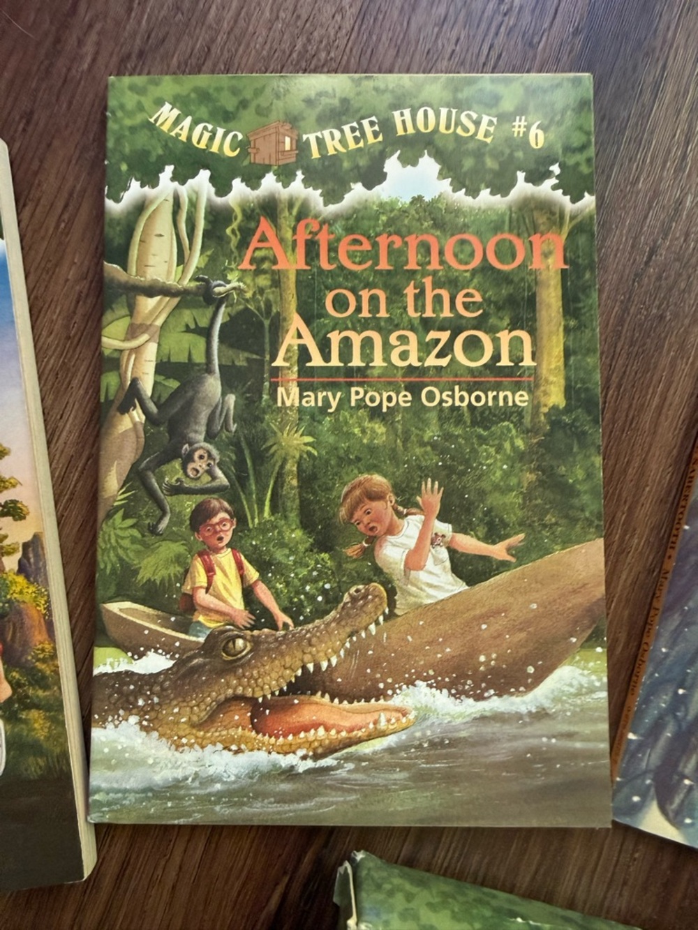 Magic tree house box set - Picture 4 of 6